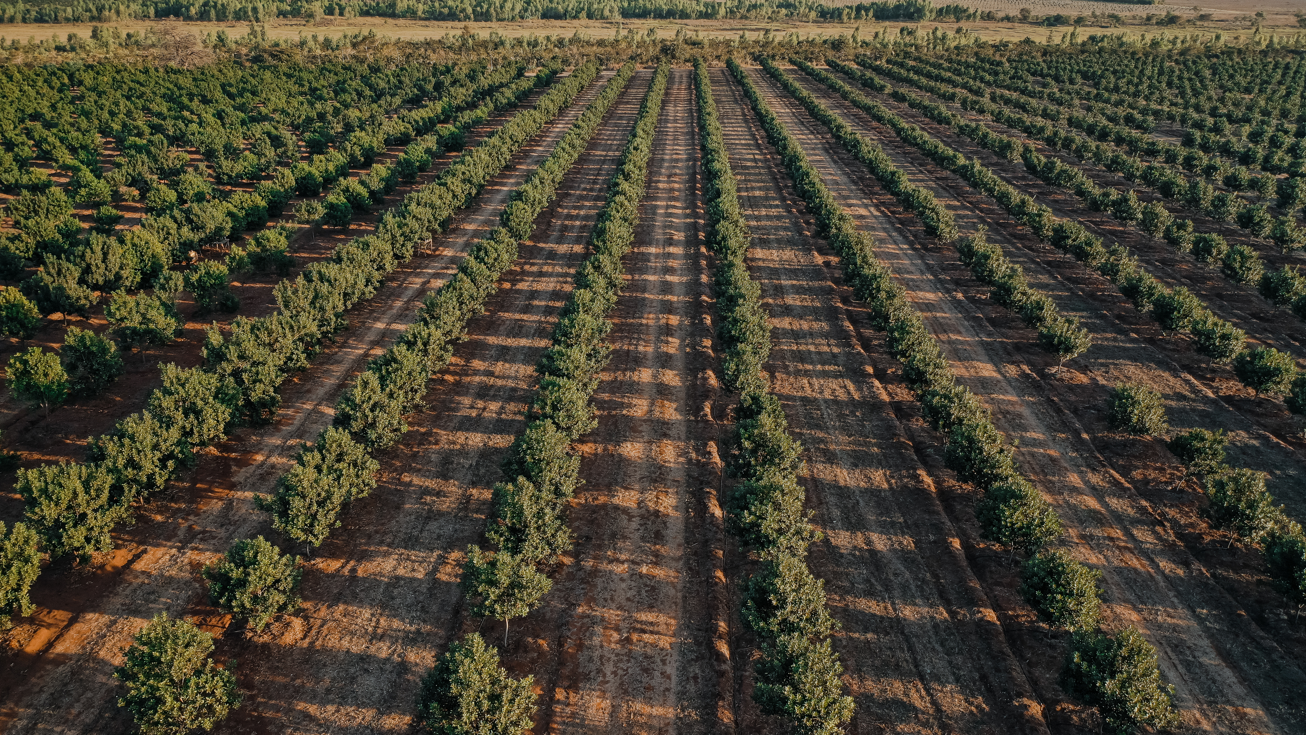 Omslagfoto van SIGNATURE Agri Investments