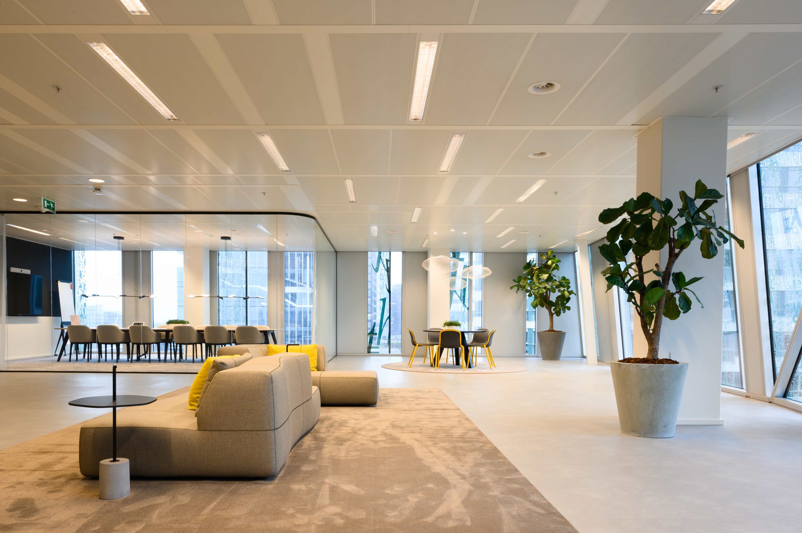 Omslagfoto van Sentia