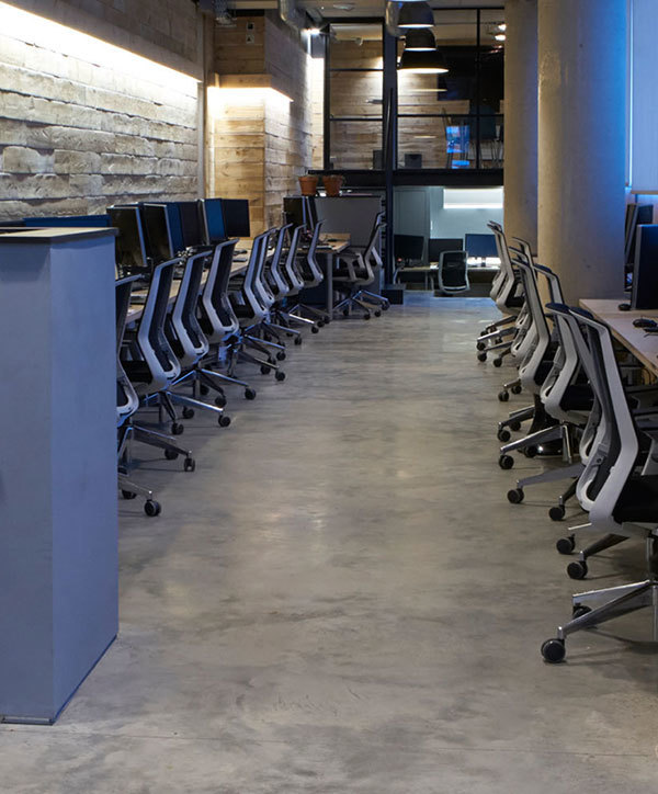 Jellyfish Pictures's cover photo