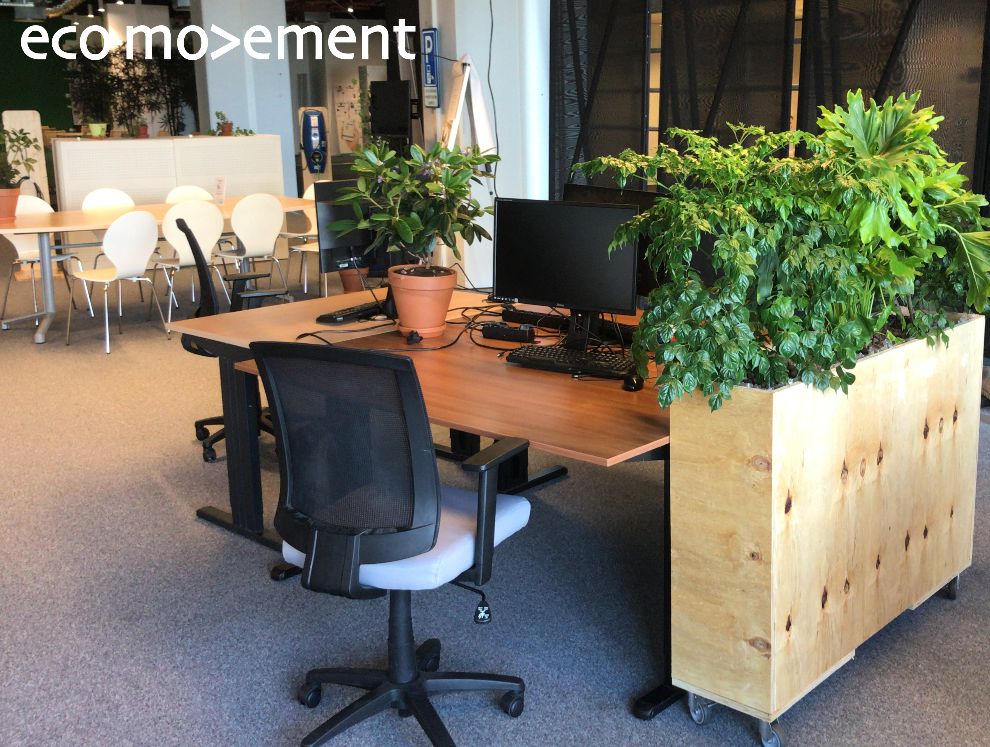 Coverphoto for Senior Software Engineer (GO, PHP) at Eco-Movement