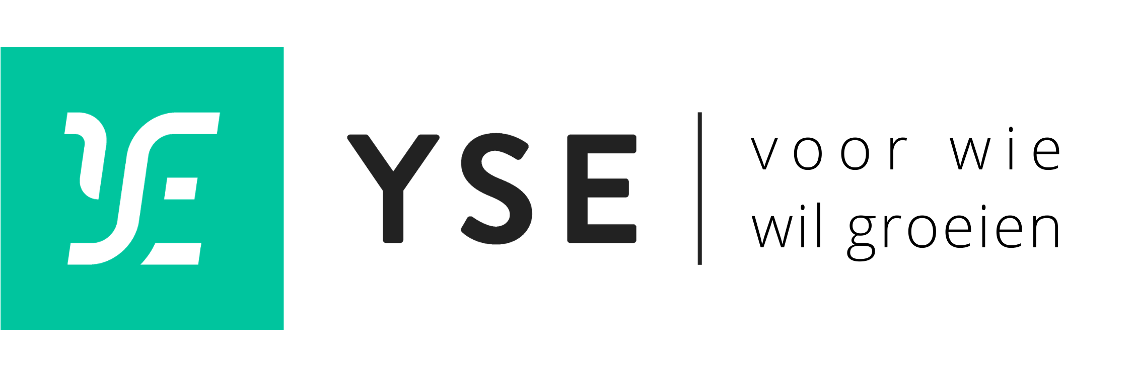YSE logo
