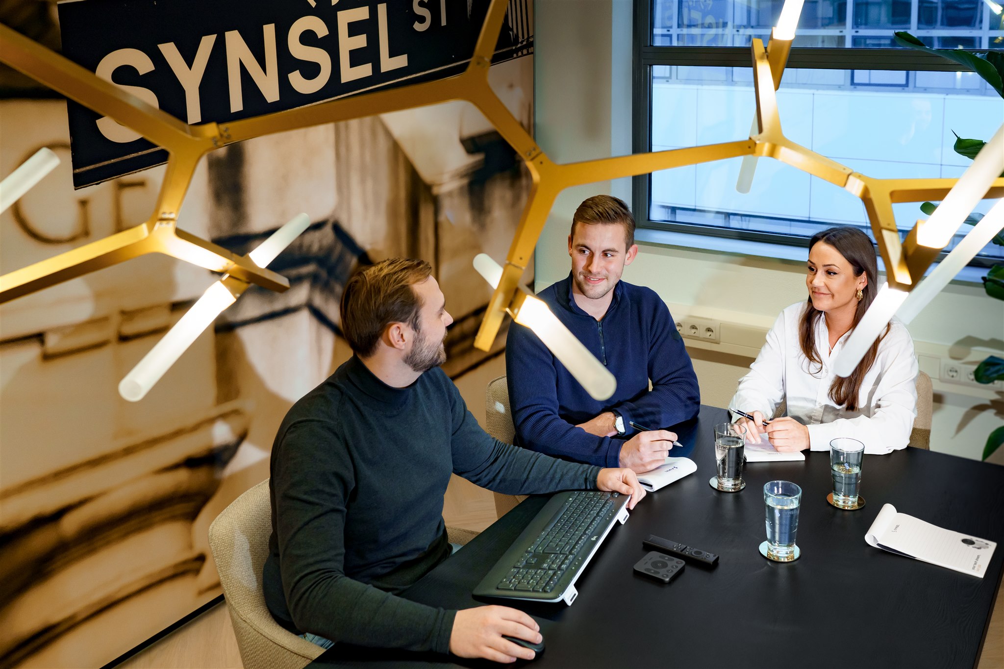 Omslagfoto van Synsel Techniek