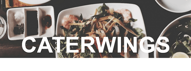 Caterwings - Cover Photo