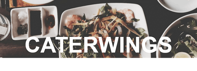 Caterwings - Cover Photo