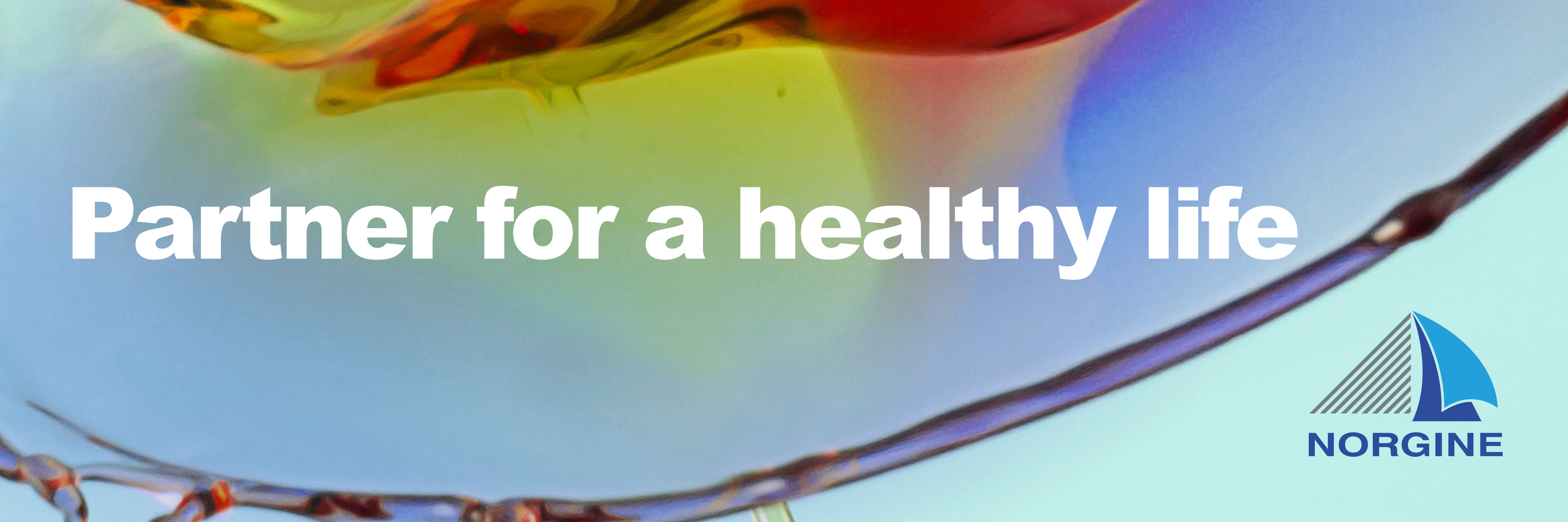 Norgine's cover photo