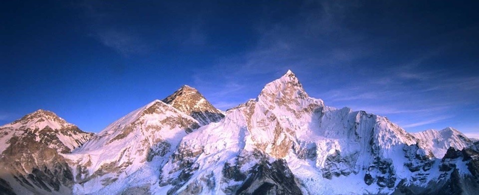 Everest Insurance's cover photo