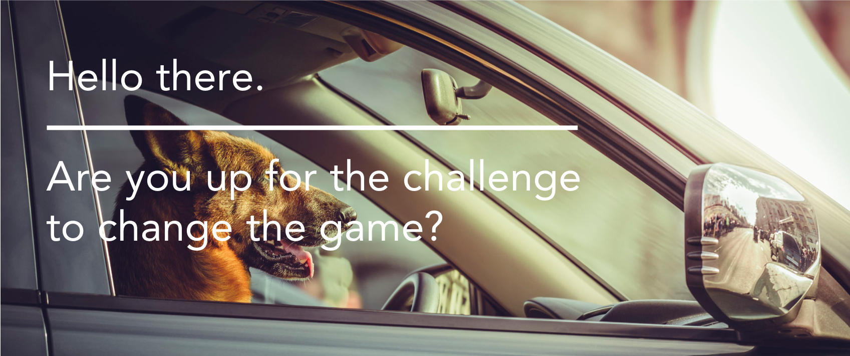 Openclaims's cover photo