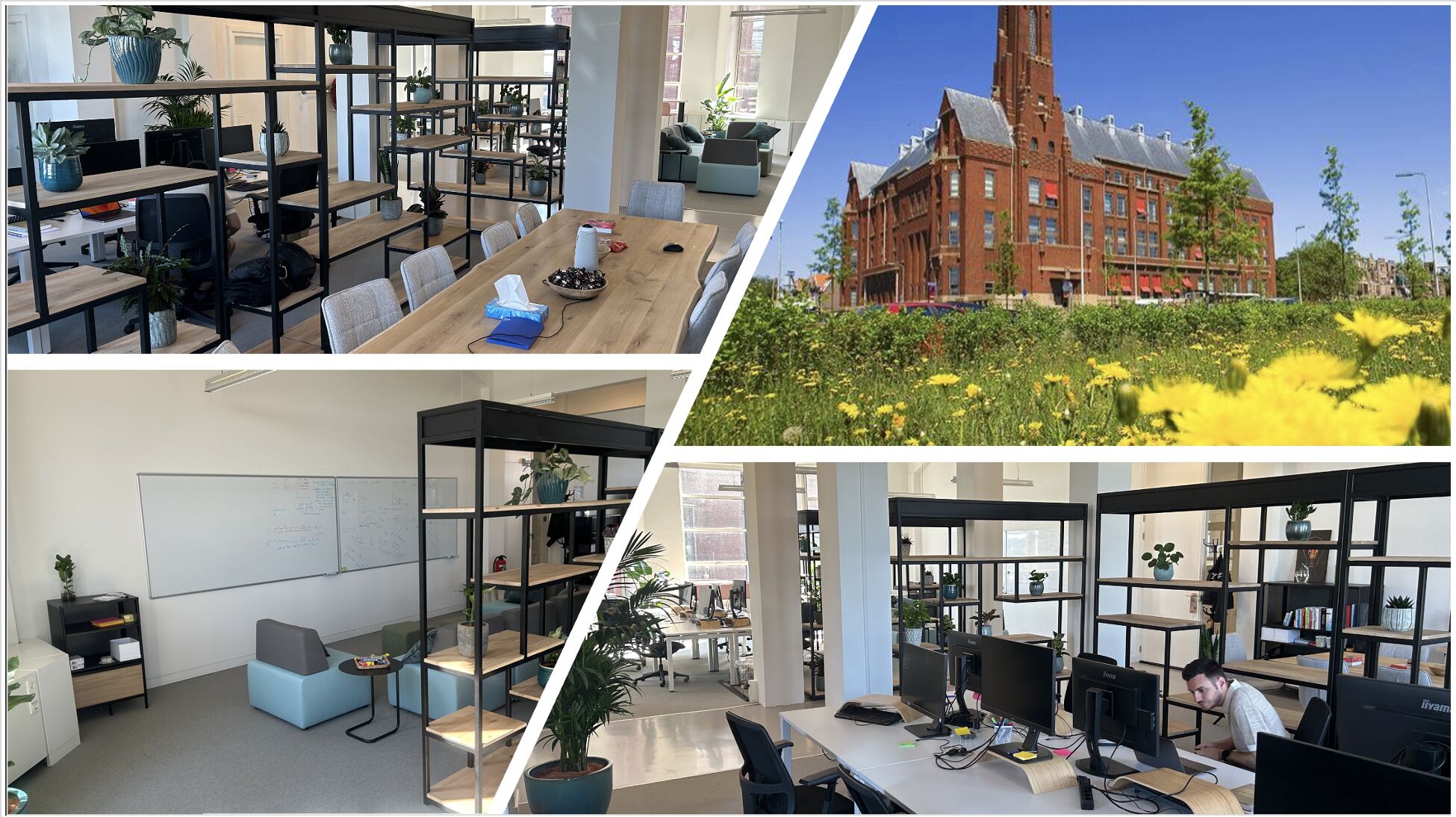 White Space Solutions's cover photo