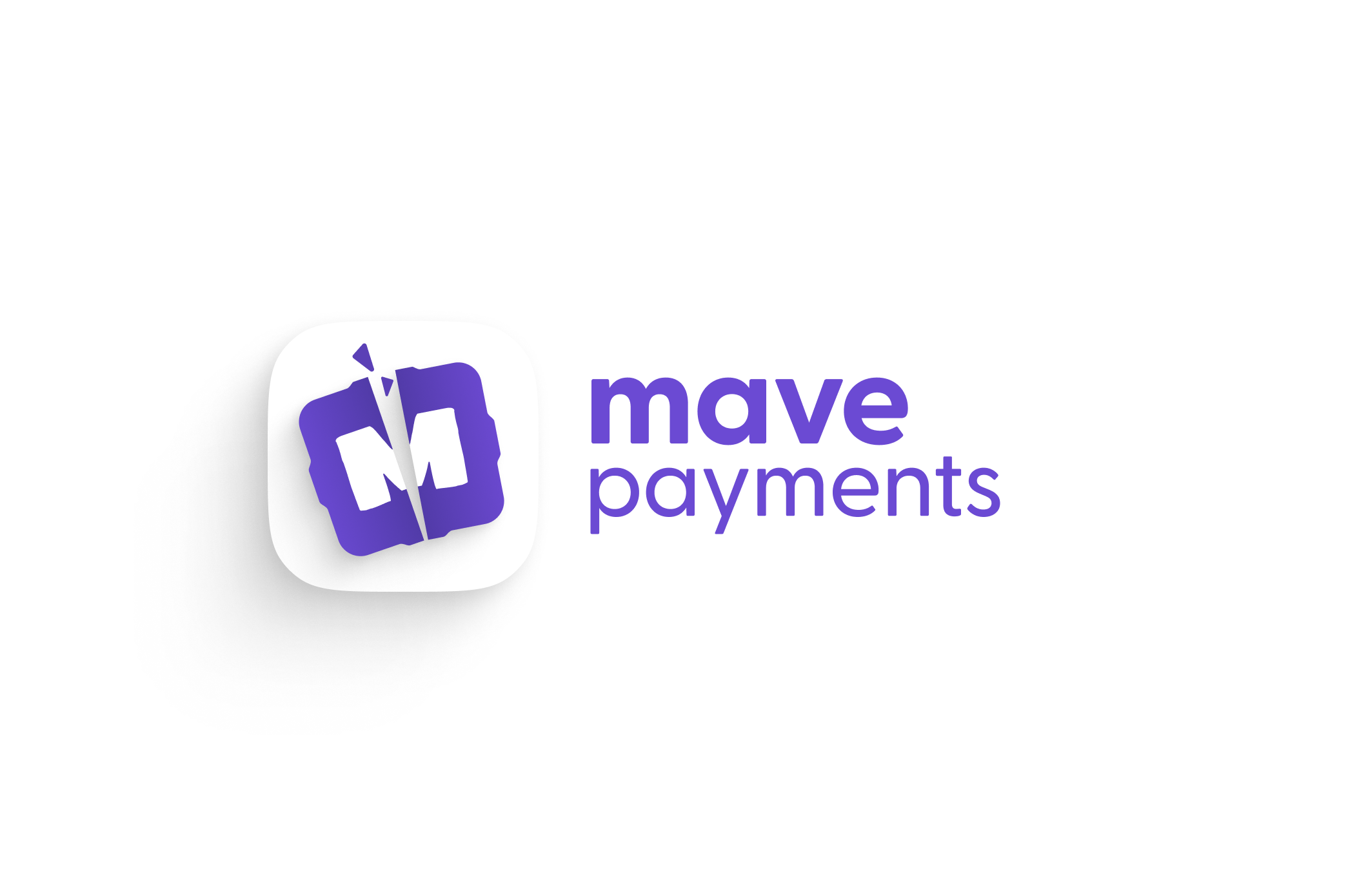 Omslagfoto van MavePayments B.V.