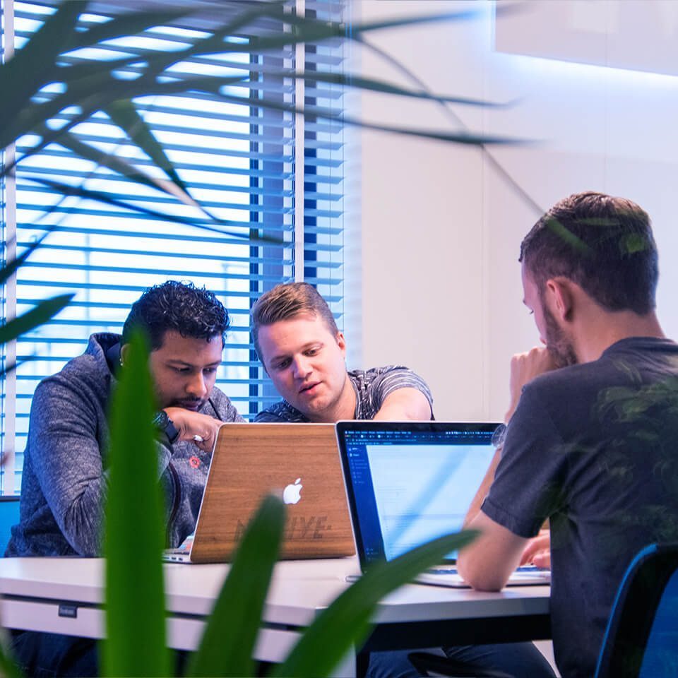 Notive's cover photo