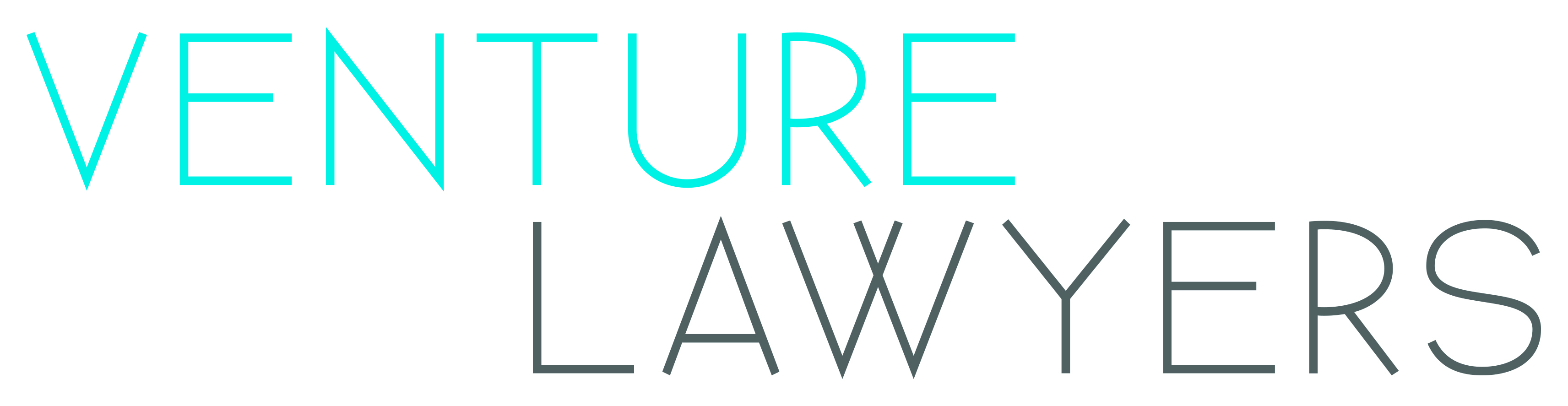 Venture Lawyers logo