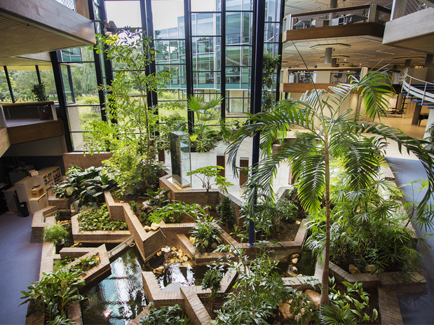 Omslagfoto van Haskoning