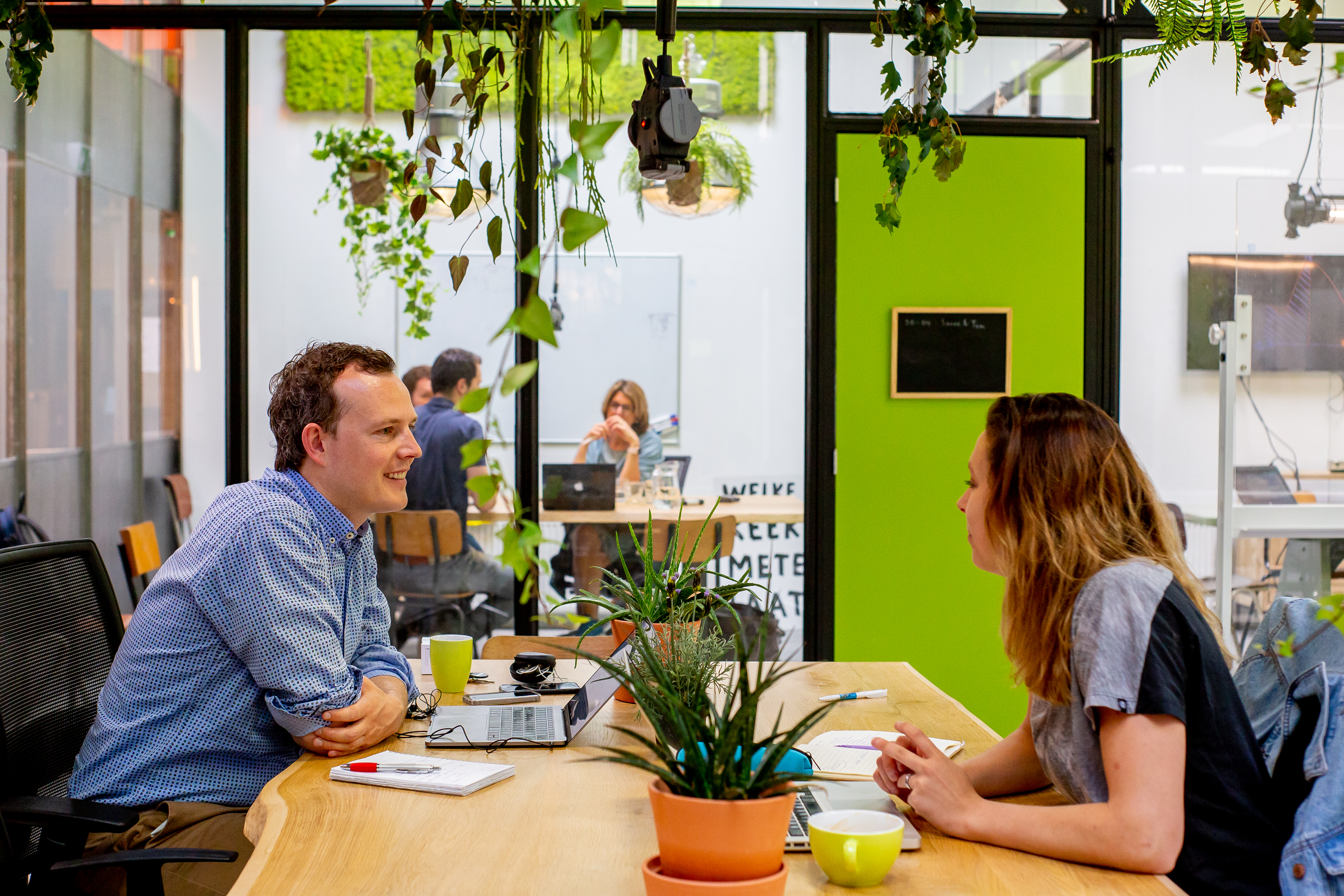 Frisse Blikken's cover photo