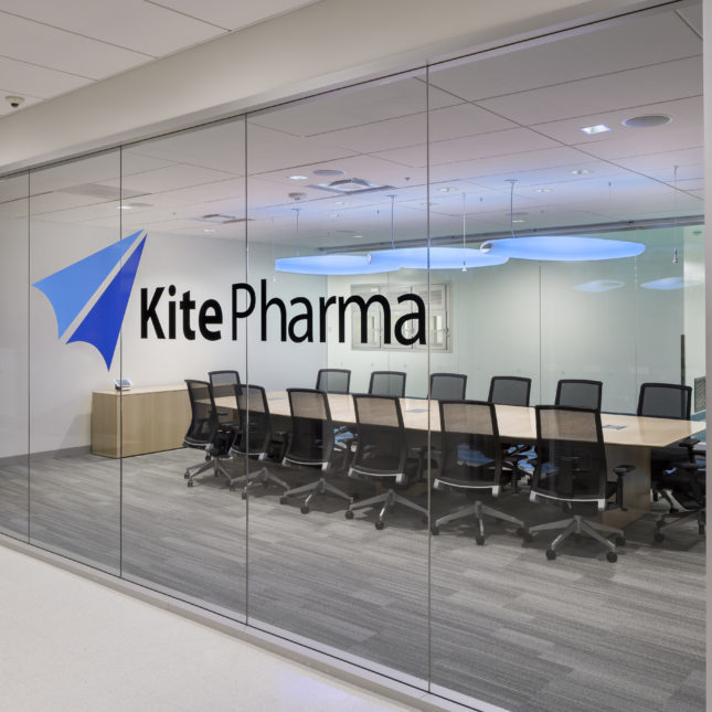 Omslagfoto van Kite Pharma