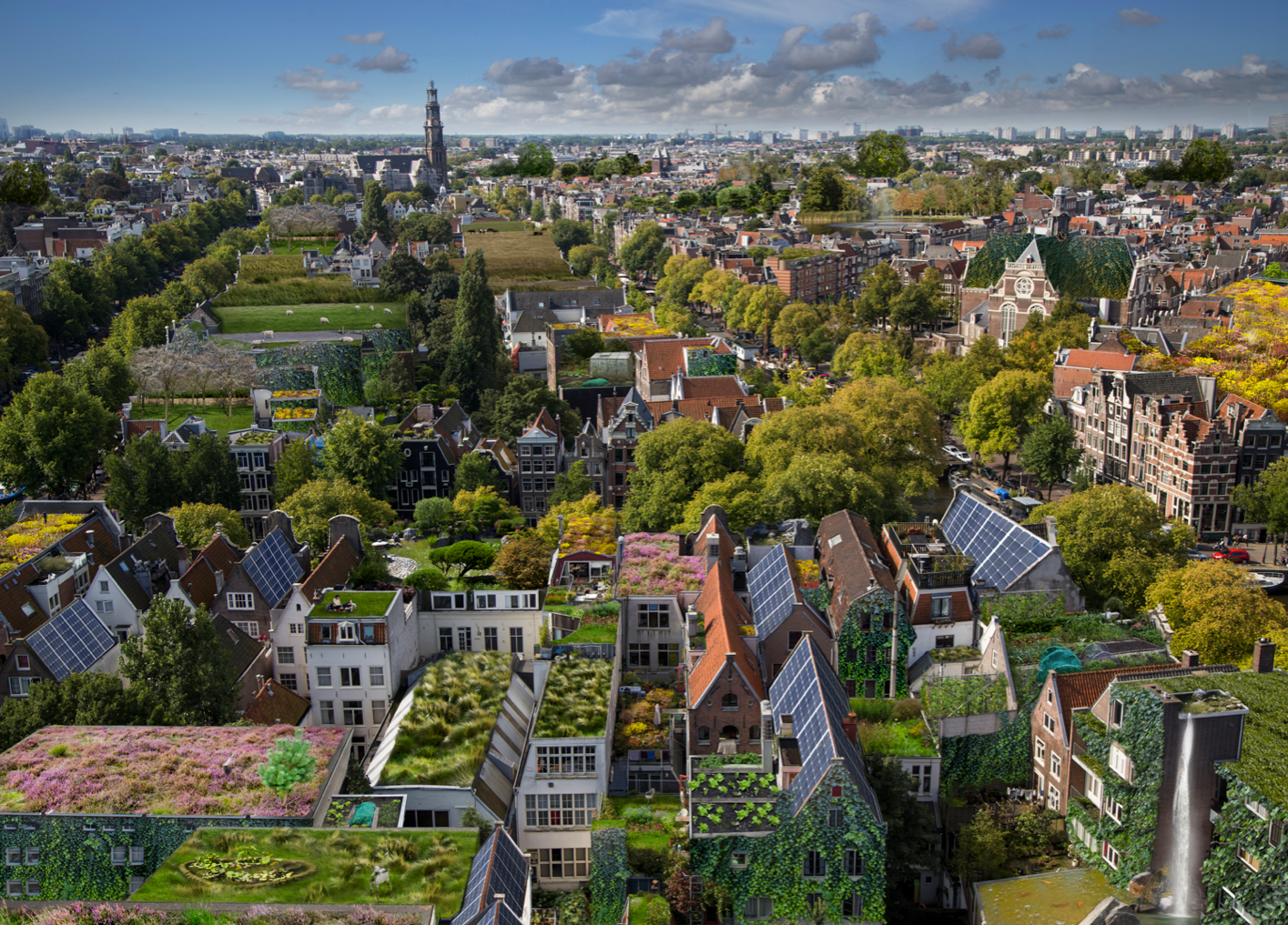 Omslagfoto van De Groene Grachten