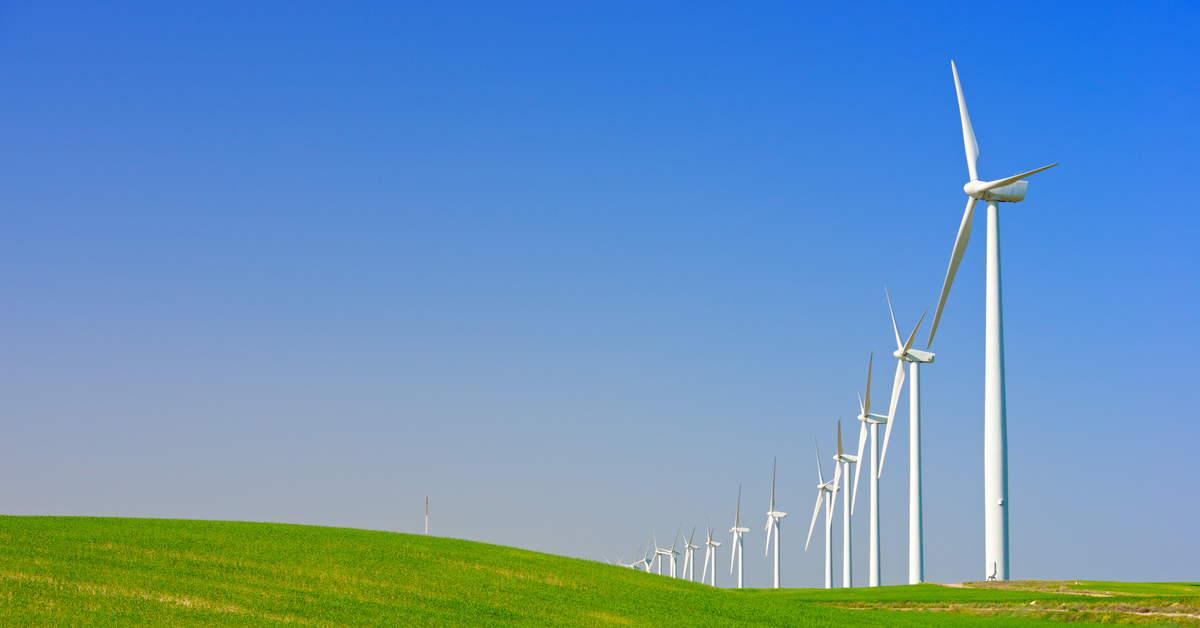 Coverphoto for Food Auditor in Training at DNV GL