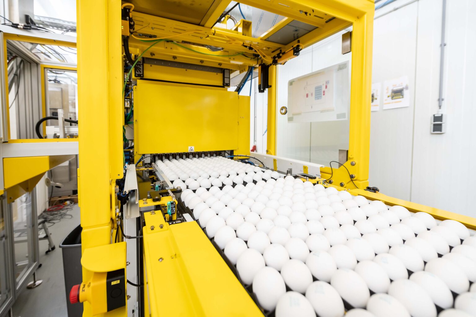 Omslagfoto van In Ovo