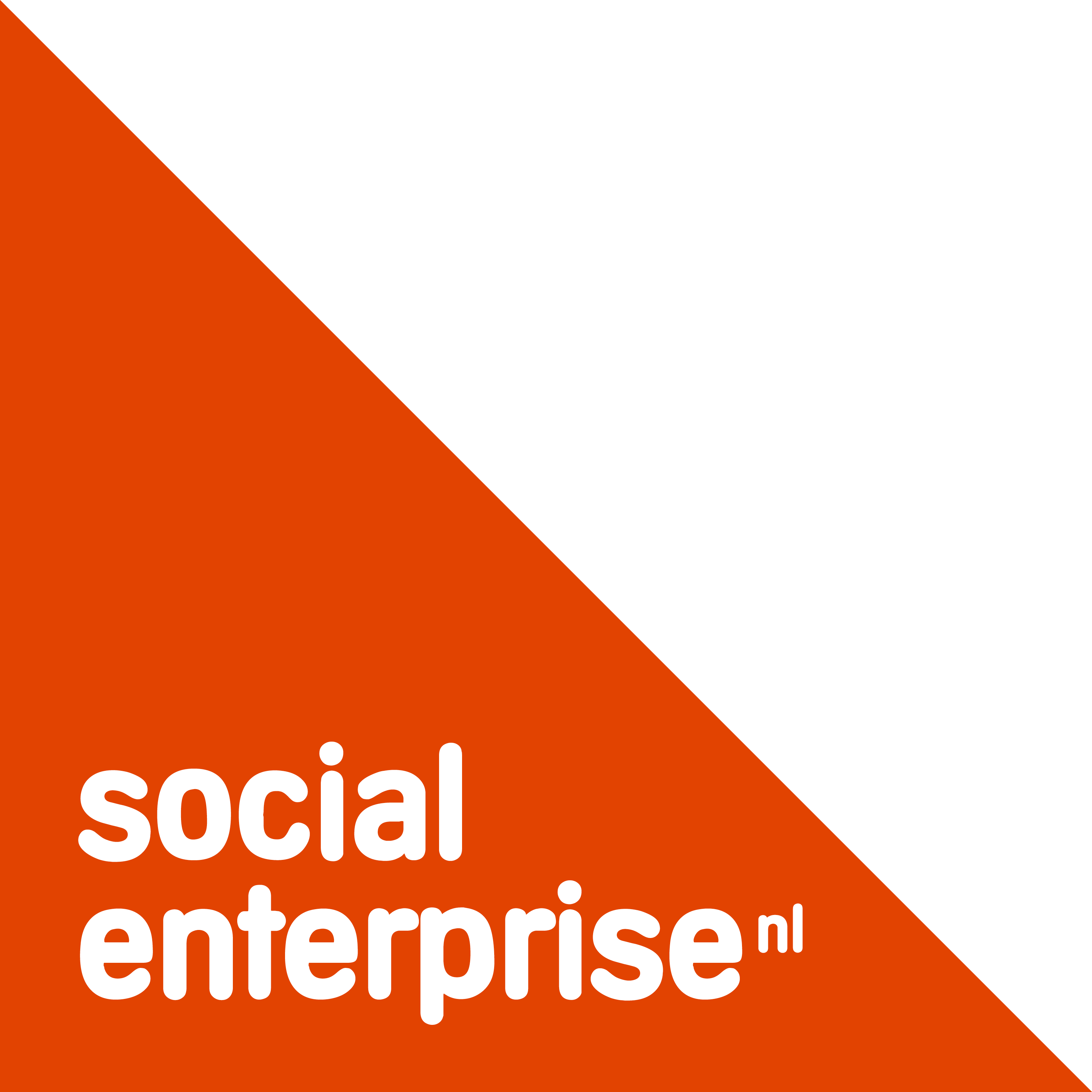 Social Enterprise logo