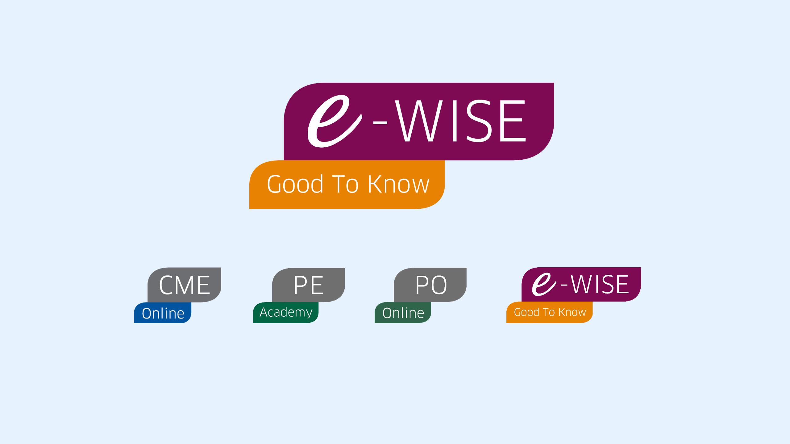 E-WISE Nederland logo