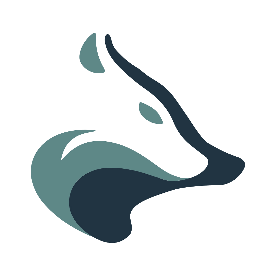 RedPack Innovators logo