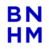 Logo Blenheim Advocaten