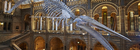 Omslagfoto van Natural History Museum