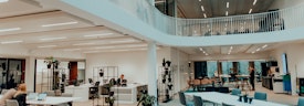 Omslagfoto van Online Recruitment Marketing Internship in Amsterdam bij Dutch Founders Fund