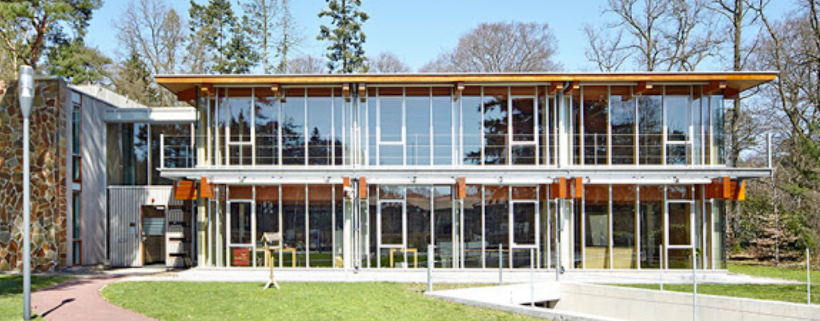 Common Eye's cover photo