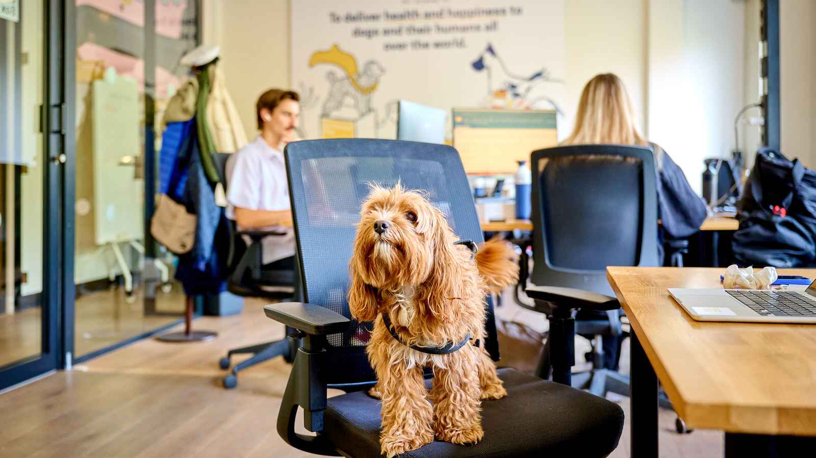 Coverphoto for Sales Representative (Events) at Butternut Box